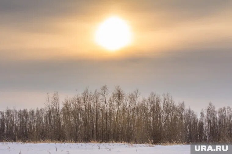 На Солнце зафиксировали несколько вспышек

Фото: Александр Елизаров © URA.RUк