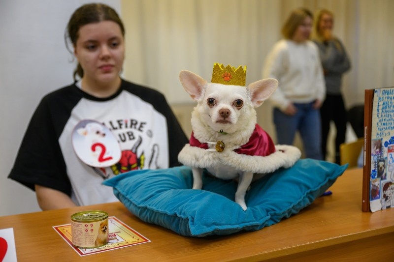 Фото Дворца творчества детей и молодежи Воркуты
