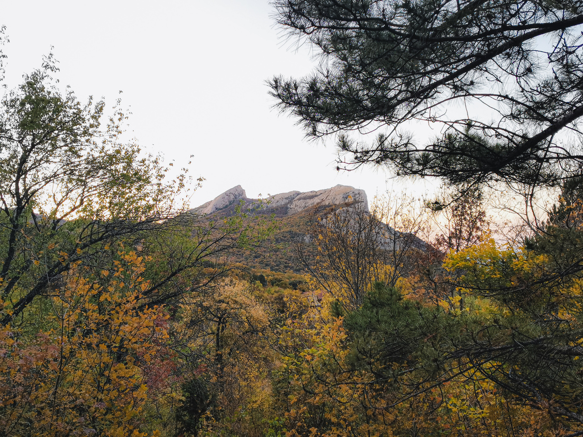 На стоянке у родника Экономический