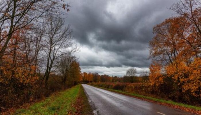 Иллюстрация: сгенерировано нейросетью