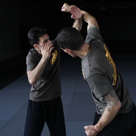 Фото с сайта https://www.bostonkravmaga.com/blog/krav-maga/krav-maga-blocking/index.html