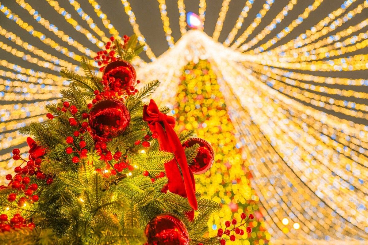 Праздничная атмосфера города дарит ощущение чуда. Источник: mos.ru📷
