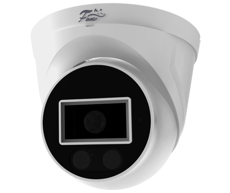 FX-IPEYE2/D — купольная камера, 2 МП.
FX-IPEYE4/D — купольная камера, 4 МП (высокая детализация).