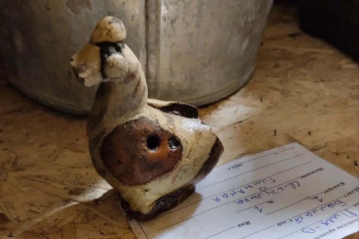    В раскопе на Плехановском посаде в Пскове обнаружили птичку-свистульку