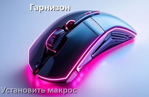 
Как на любую мышь Гарнизон установить макрос