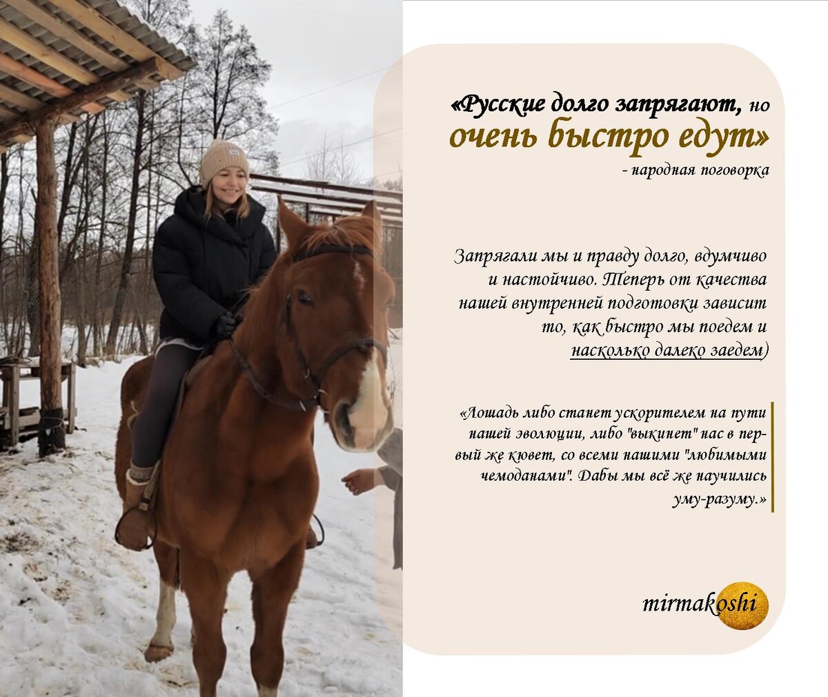 Кто долго запрягает, тот быстро едет. Год Лошади - Энергии 2026