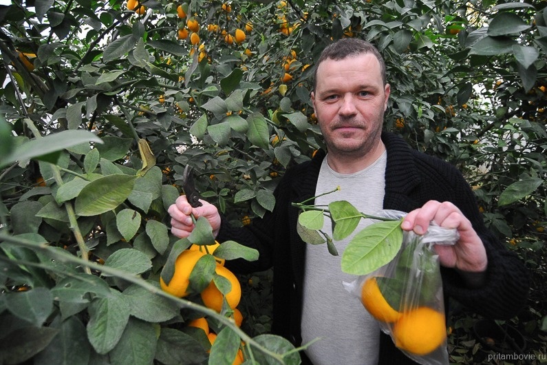 Сергей Королёв, хозяин лимонария. Фото: Алексей Бучнев