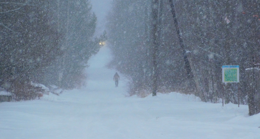    Автор: Вячеслав Вольгин