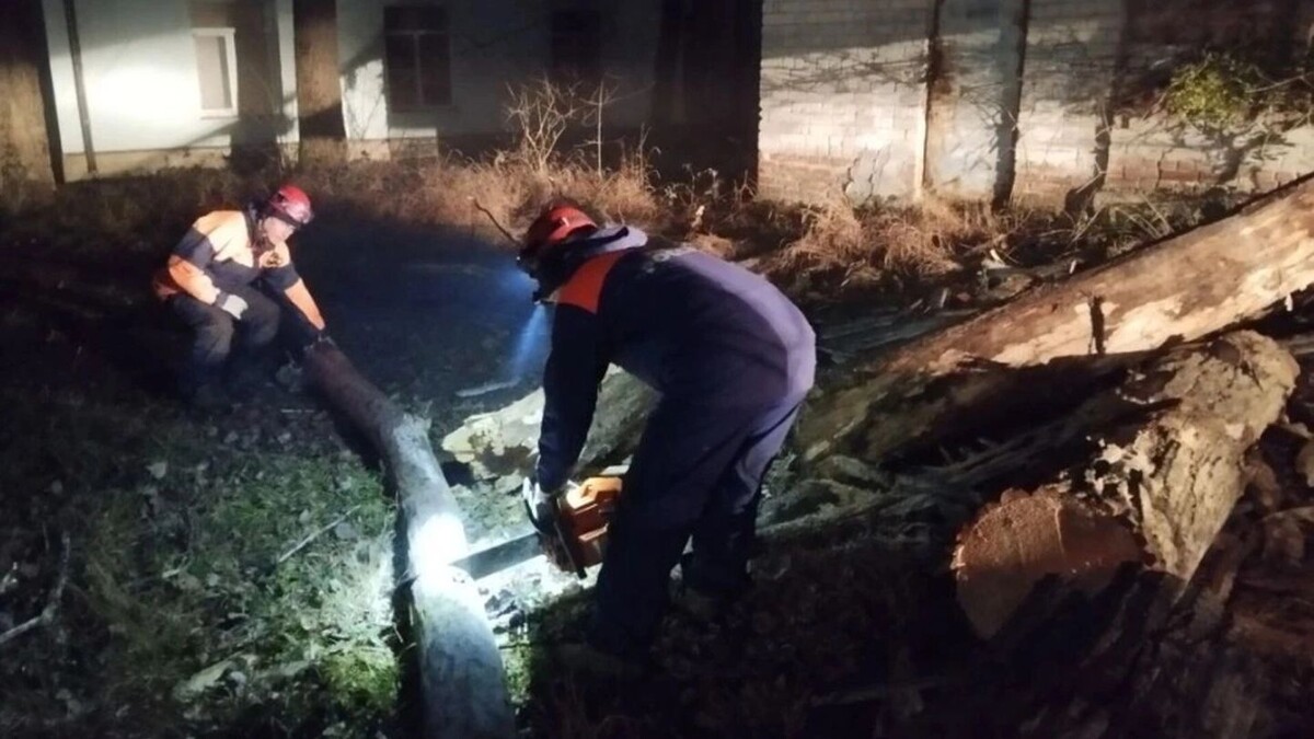     Источник: Администрация Ставрополя