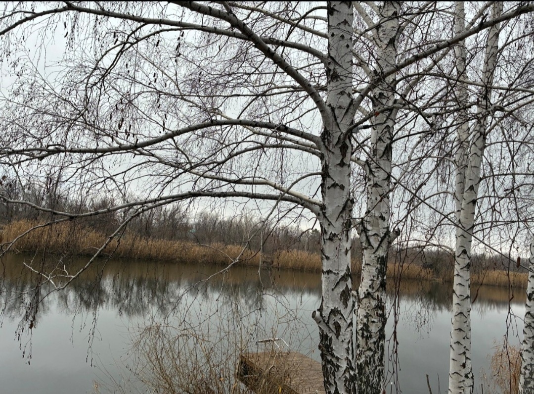 На речке 6.12.2025