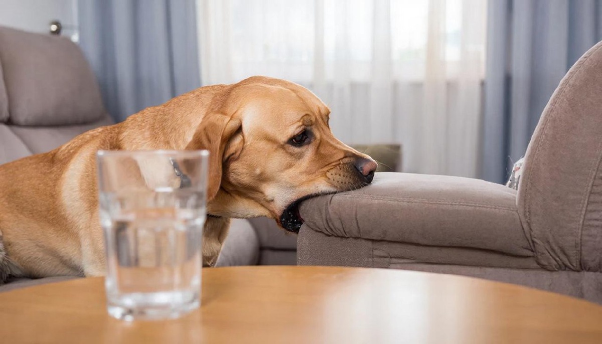 Генерация изображения Гигачат