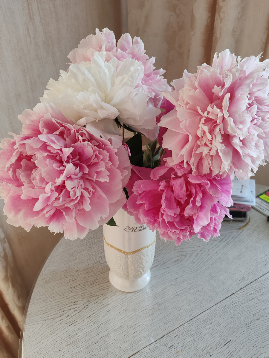 Пионы Сара Бернар. 