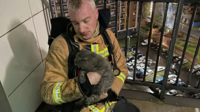 Фото: Леноблпожспас