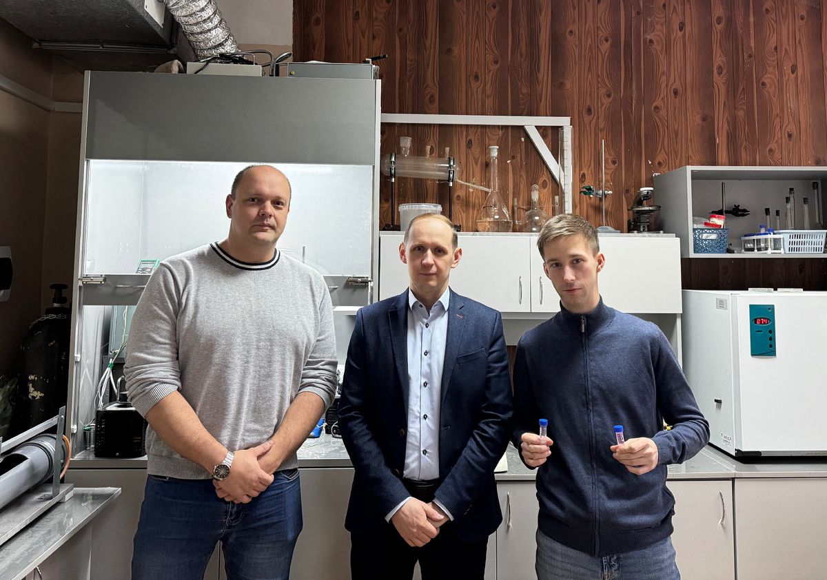 Источник: авторы исследования