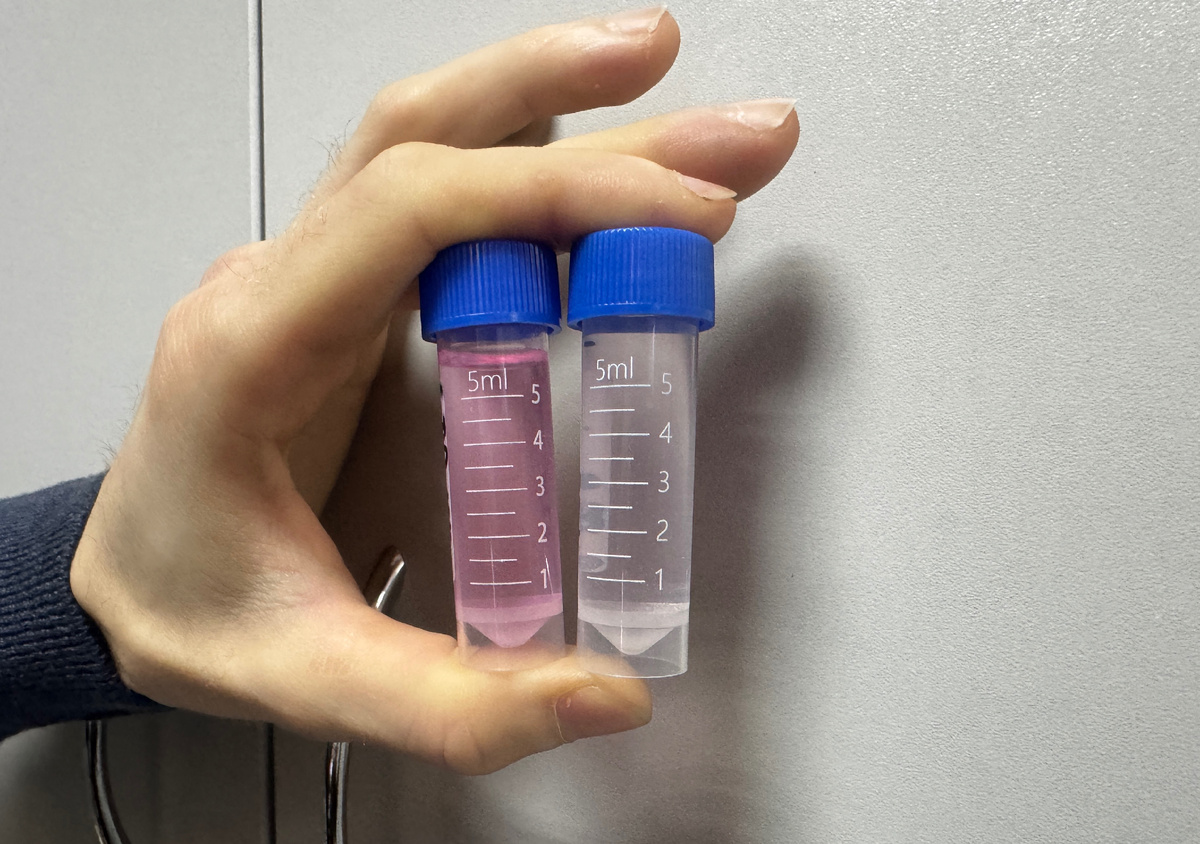 Источник: авторы исследования