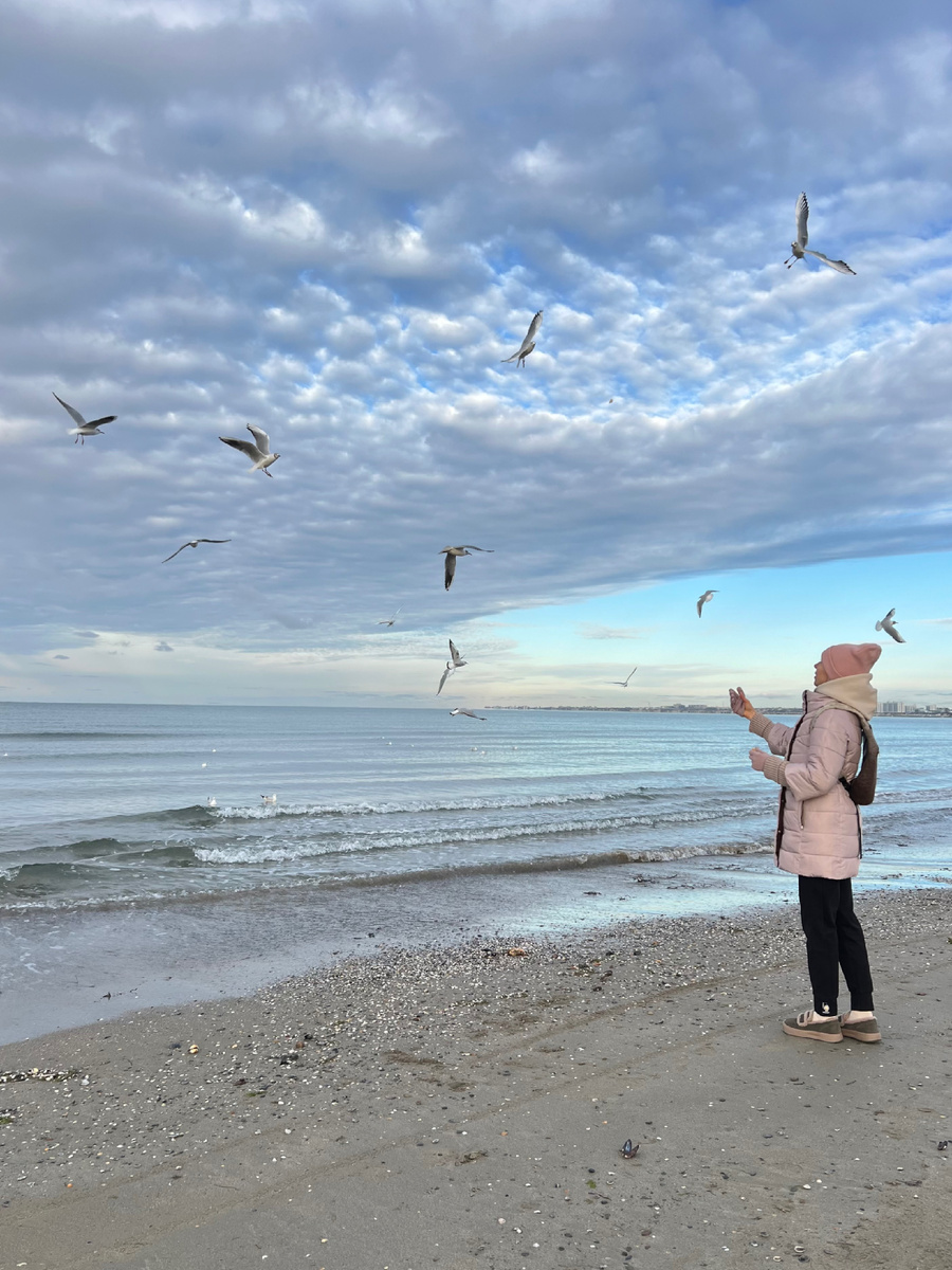 Анапа. Центральный пляж. Декабрь 2025