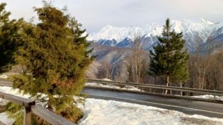    Людмила Лата Юлия Виноградова