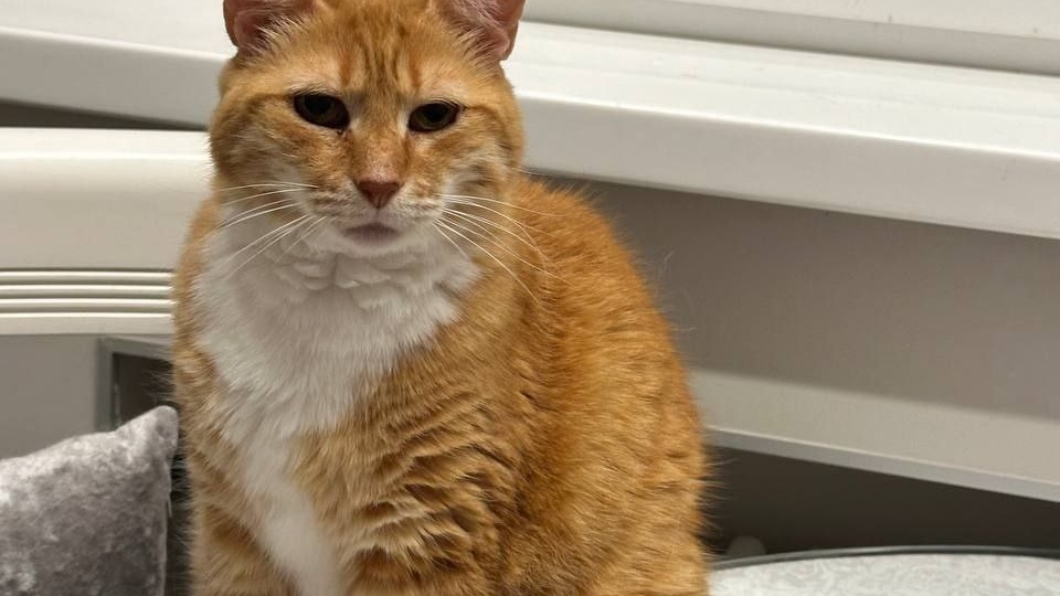 Всем доброе утро и хорошего дня