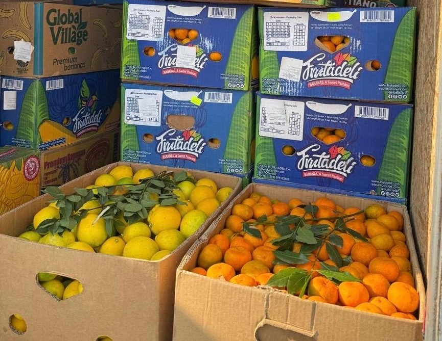    Фото: Управление Россельхознадзора