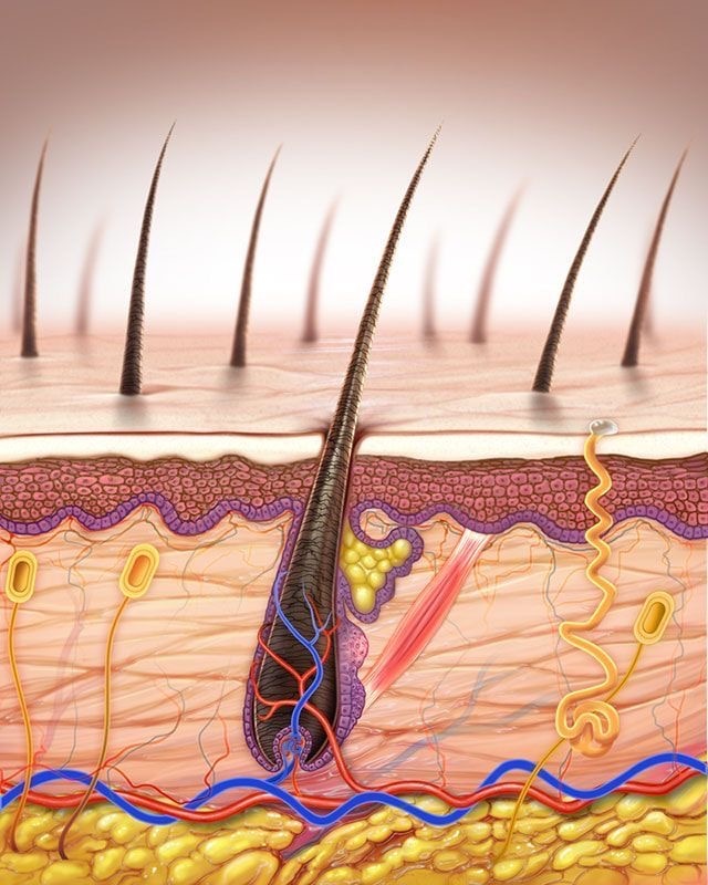 Источник: Pinterest