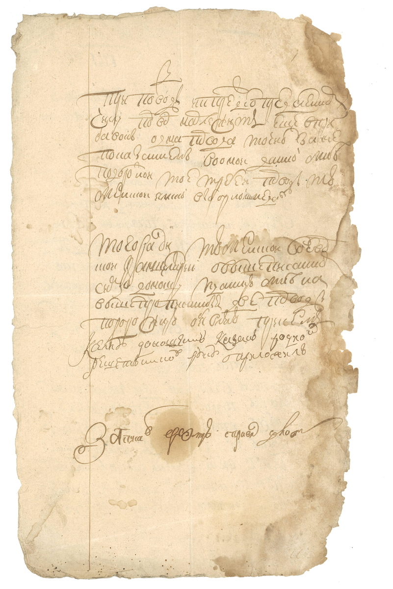 Тыльная часть документа