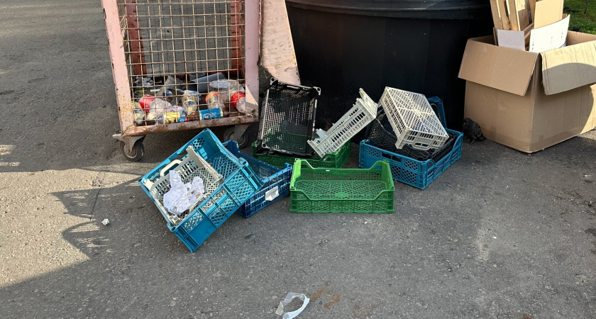    Фото: ПроГород