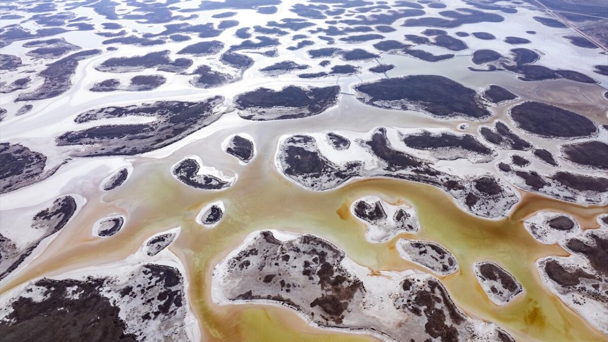 Изображение из Интернета. 