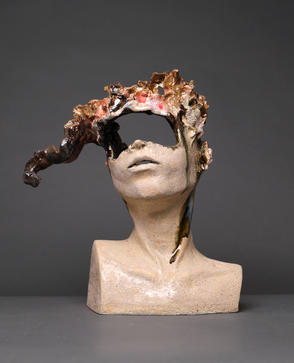 Работа Виктории Севастьяновой "Британская школа дизайна"