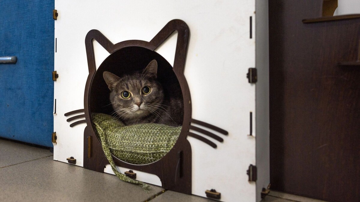    Фото: Федор Воронов/«Ямал-Медиа»