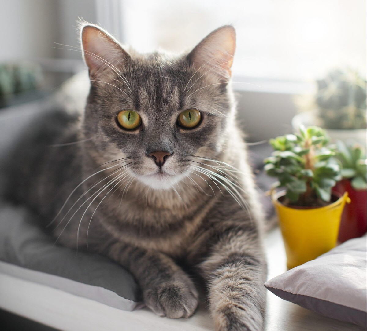    Фото: Freepik.com