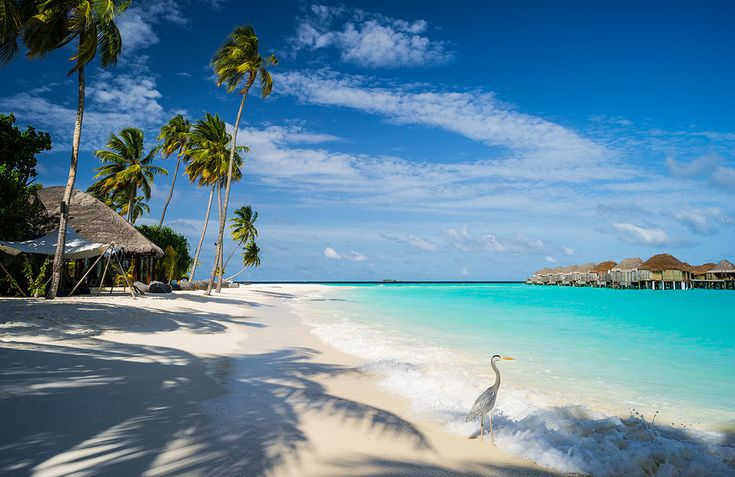 Популярные направления для отдыха в 2025 году среди жителей Казахстана