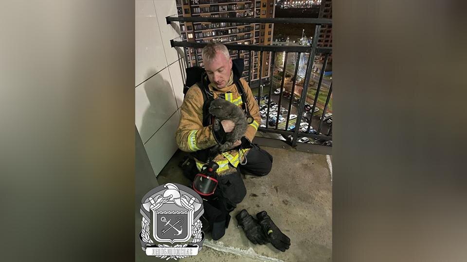    Фото: t.me/lenoblpozhspas