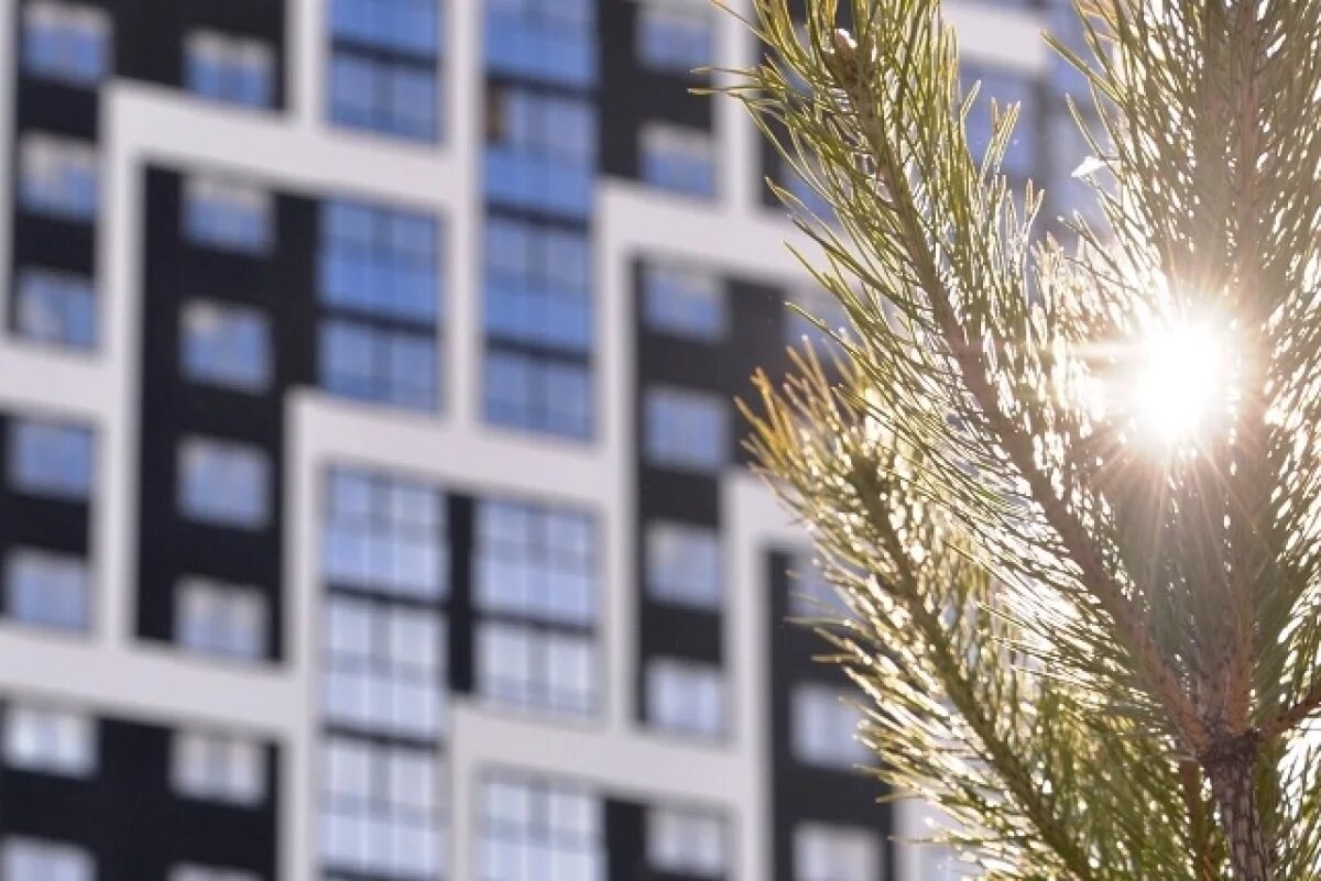    В честь Нового года действуют праздничные акции на квартиры в Екатеринбурге