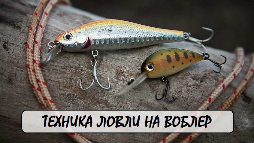 Руководство для начинающих рыболовов: Ловля на воблер. Полный гид