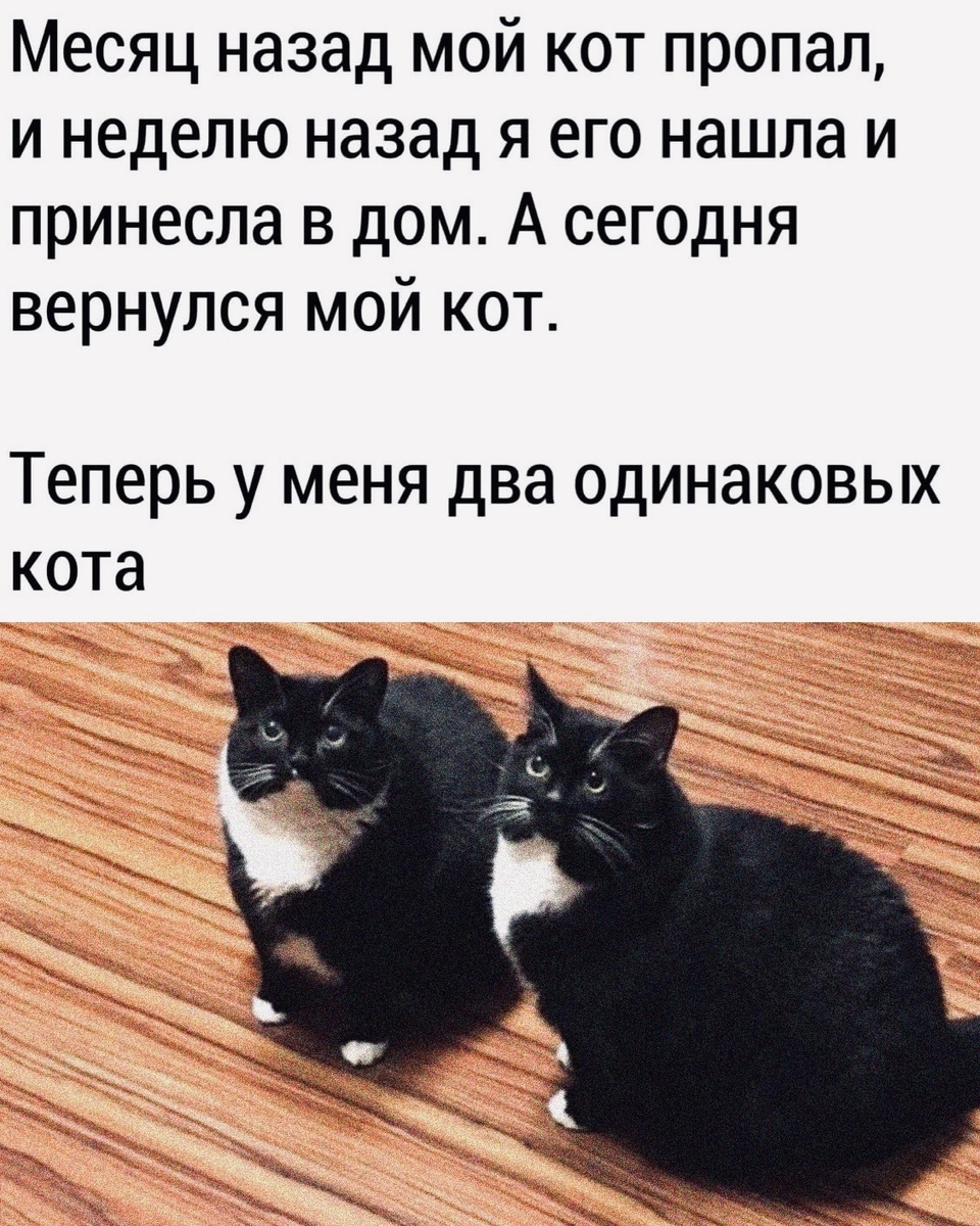 источник Яндекс-картинки