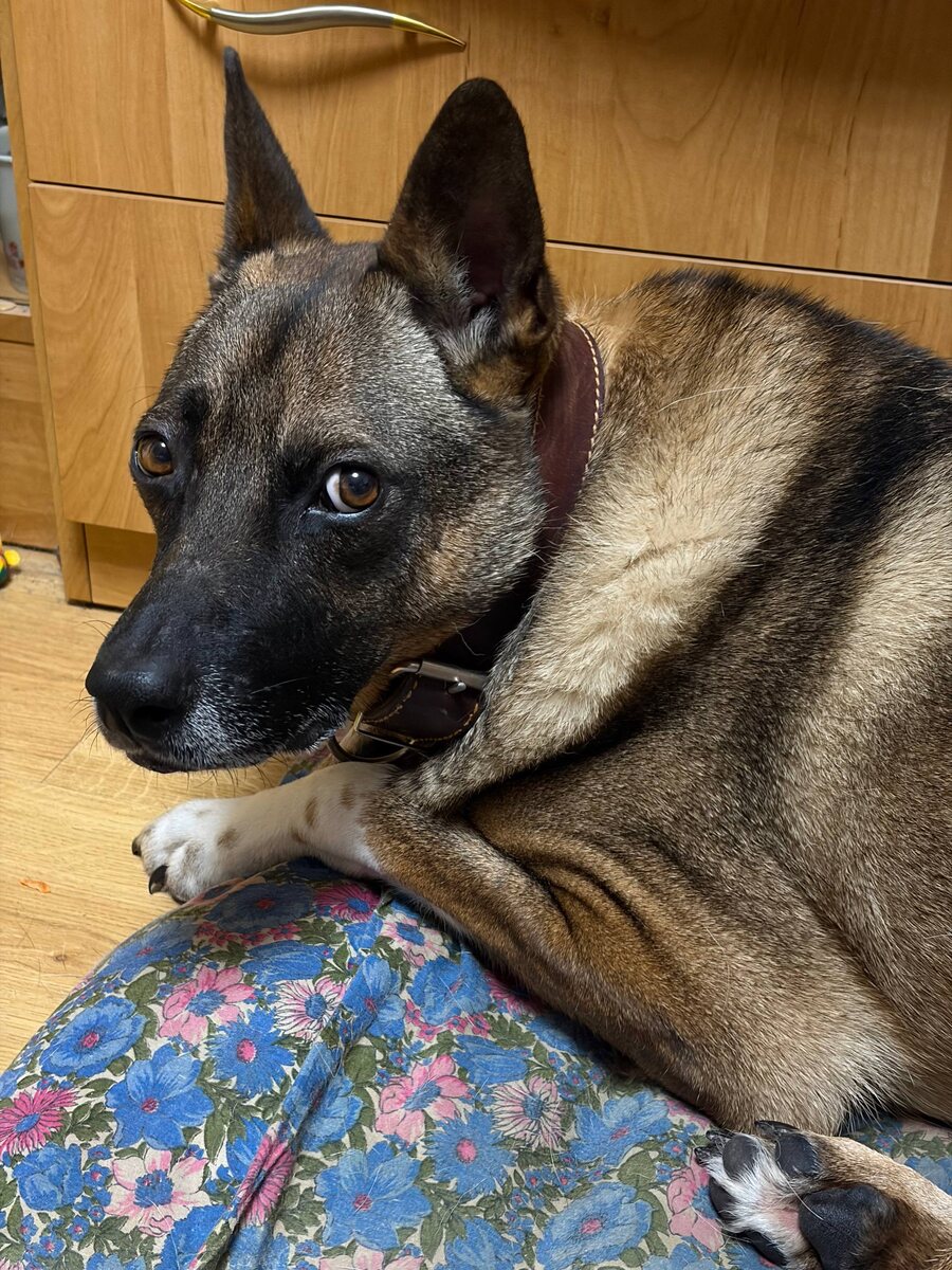 Пообещала наябедничать читателям. И обхохотались