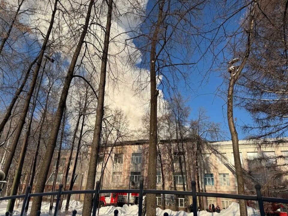    Фото пресс-службы СУ СКР по Новосибирской области