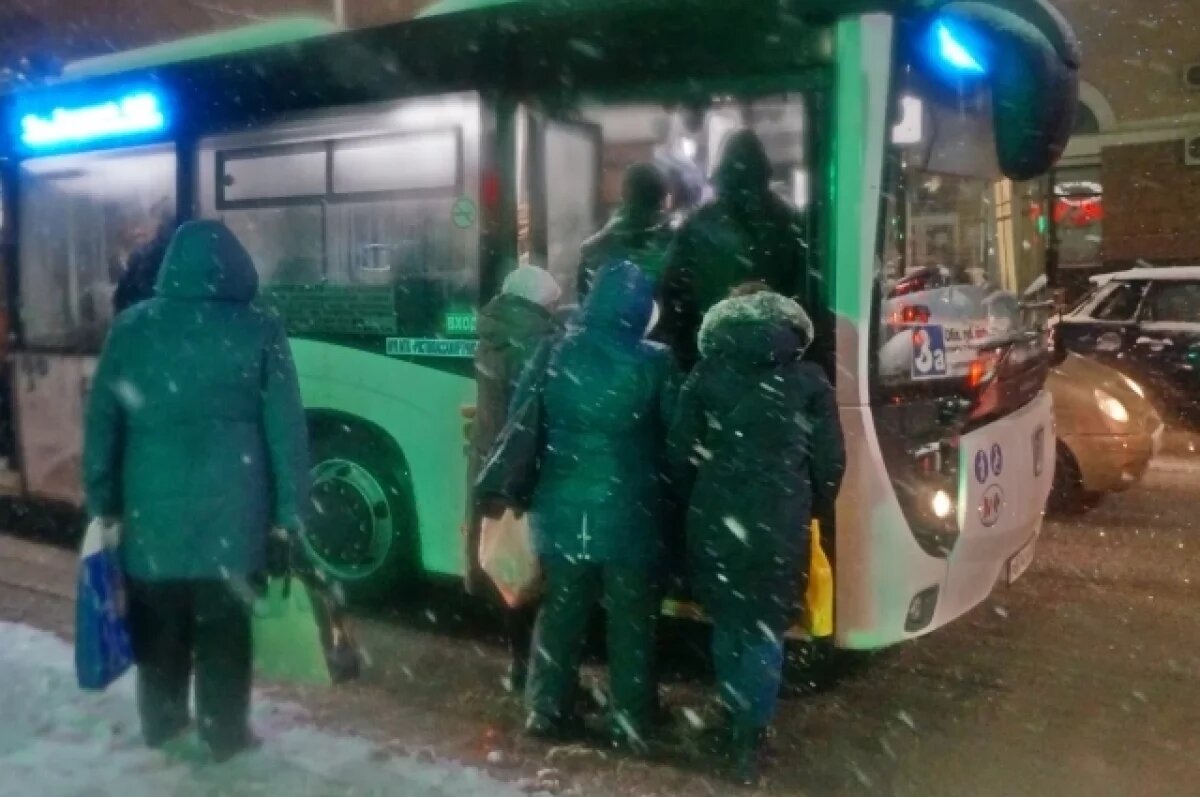    Омичка рассказала, что её сына высадили в мороз из автобуса из-за сбоя