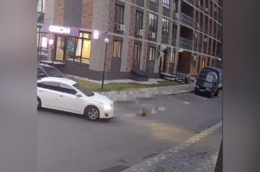     Фото: скрин с видео