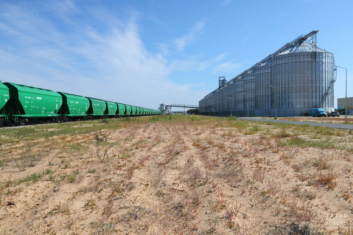 Фото: © Михаил Захаров / «Татар-информ»