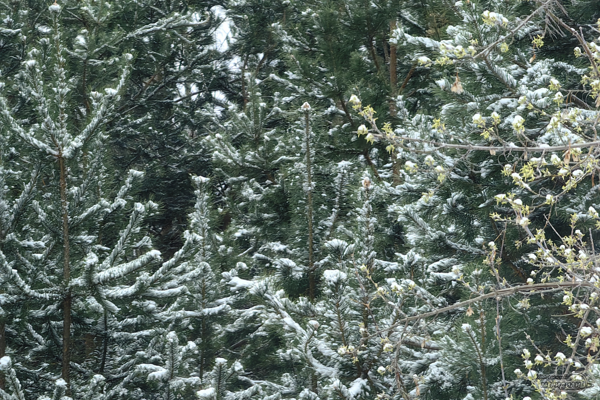    Фото: © ИА «Уральский меридиан»