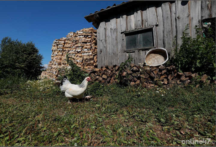 фото: Валентин Илюшин/Online47