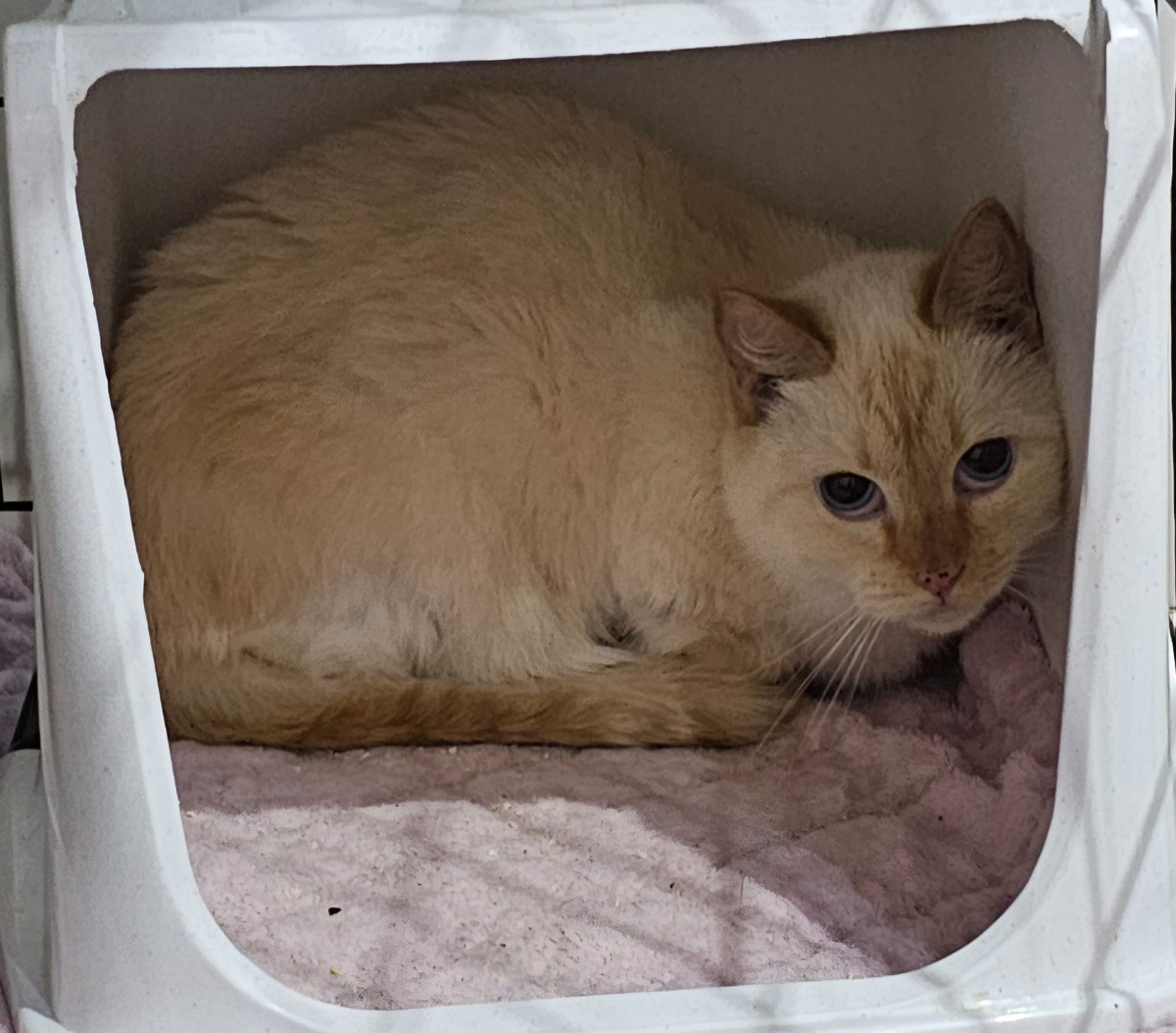 Фото автора. Багетина.