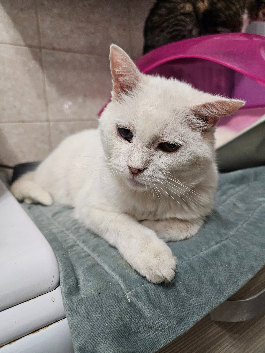 Фото автора. Мих Михач.