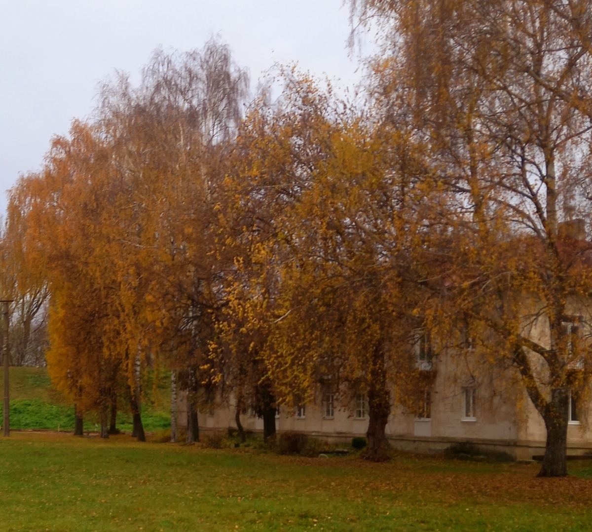 Уютная и нарядная осень