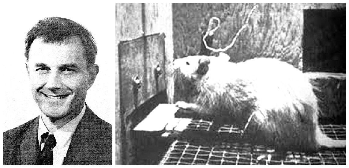 Исследование Джеймса Олдса и Питера Милнера