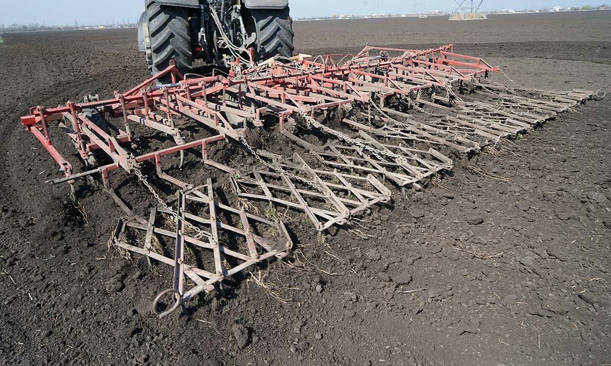    Фото Виктории Перевязко, «Кубань 24»