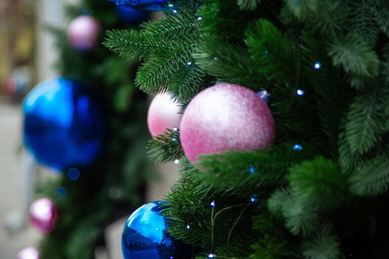    Фото: Общественная Служба Новостей Мария Спиридонова