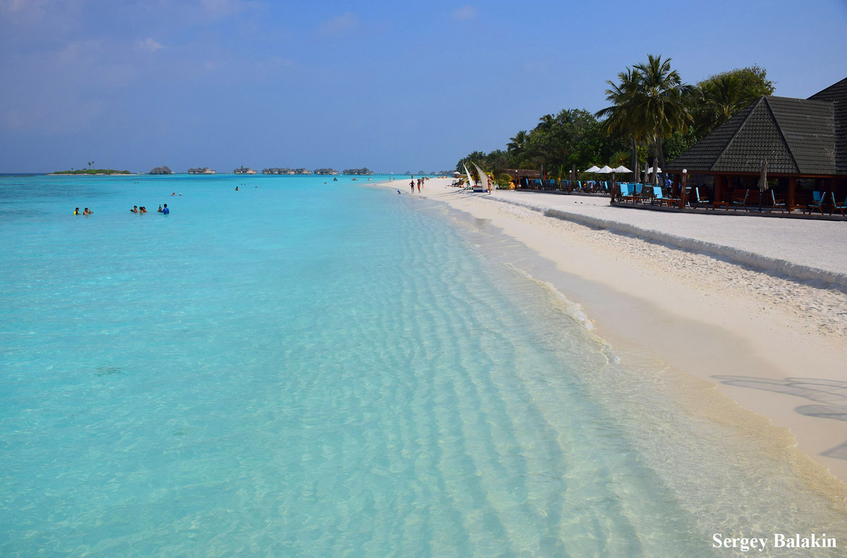 Диво дивное - Мальдивы. Фото автора