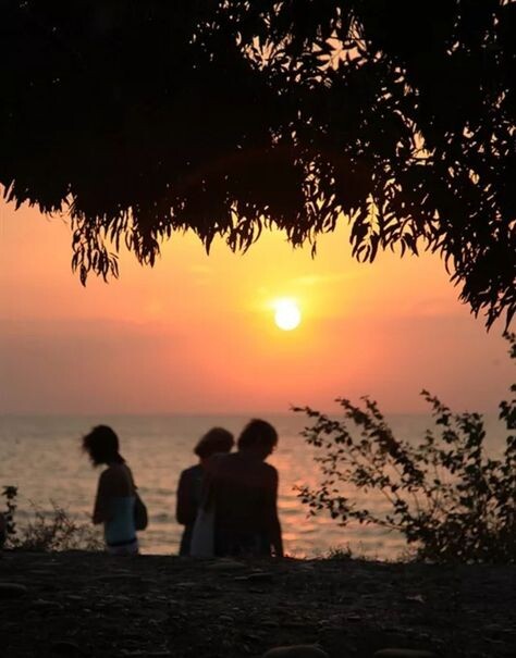 Картинка из интернета